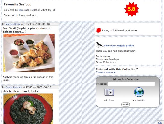 A Magpies screenshot showing a collection of food from different countries