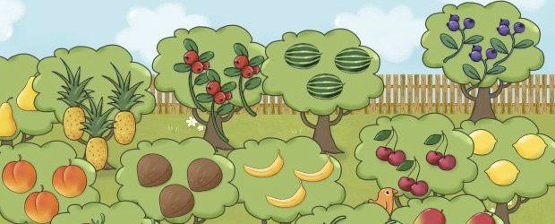 An illustrated orchard with trees bearing different fruits