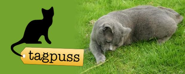 Tagpuss logo, showing a silhouette of a cat with a tag on its tail, and a photo of a grey cat eating a lawn
