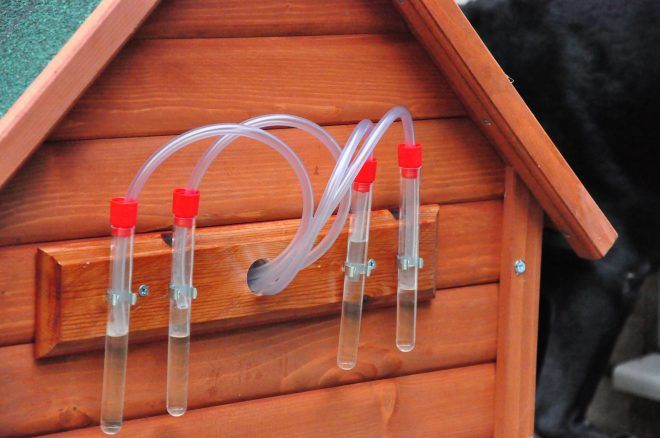 Photograph of back of modified dog kennel, showing test tubes full of synthetic anal secretions, and pipes leading into the kennel